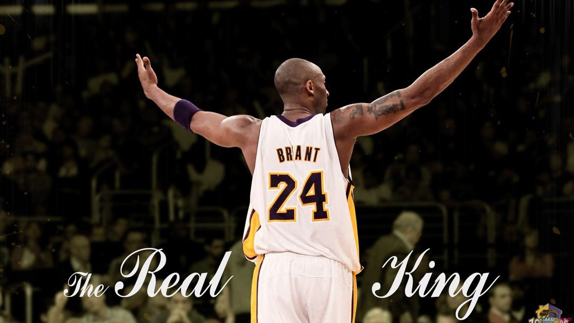 篮网狂潮席卷广厦!小贾伦化身大场面先生一锤定音